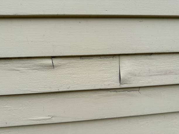Best Property Management Cleanouts  in East Sonora, CA
